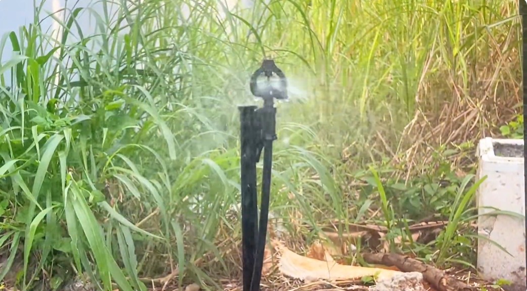 Béc tưới cà phê VNPLANT VP39 Béc tưới cà phê VP39 chính hãng VNPLANT